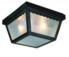 Trans Globe 4902 RT - 2LT FLUSH-CARPORT-SQUARE-FROST