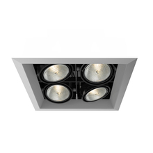 Eurofase TE164B-0N - MULT,PAR20,TRM,4LT,SQ,PT/BLK