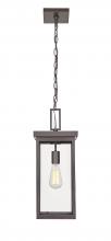 Millennium 42607-PBZ - Outdoor Hanging Lantern